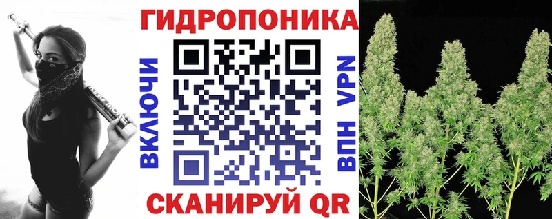 Канабис марихуана  ОМГ ОМГ как войти  Абаза 
